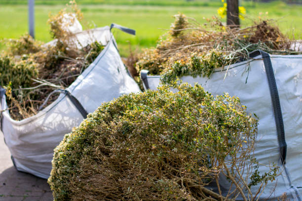 Best Carpet Removal and Disposal  in Hidalgo, TX